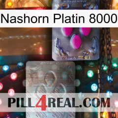 Rhino Platinum 8000 38